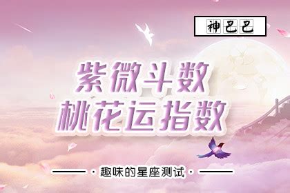 桃花旺女|紫微斗数命中桃花详解 – 紫微麥